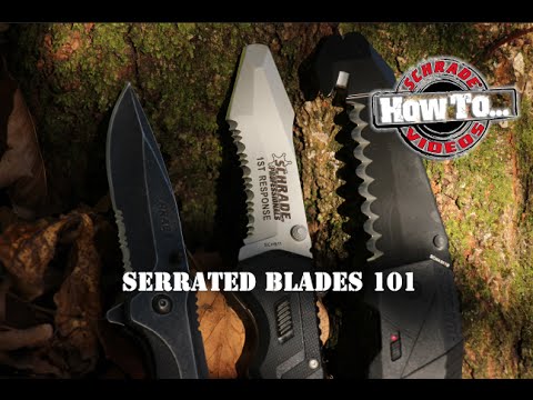 Serrated Knife: Main Job and Uses