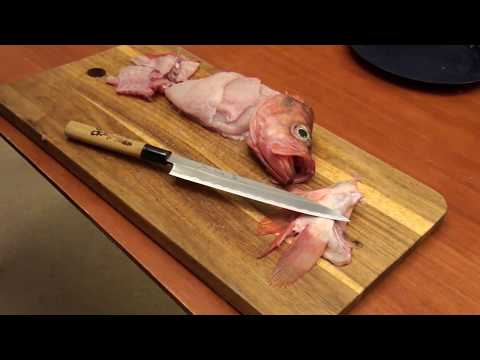 Uses of the Traditional Japanese Yanagiba Knife