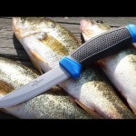 The Best Knife for Cutting Fish Bones: A Guide