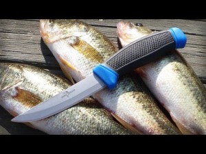 The Best Knife for Cutting Fish Bones: A Guide